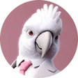 mia_spielt